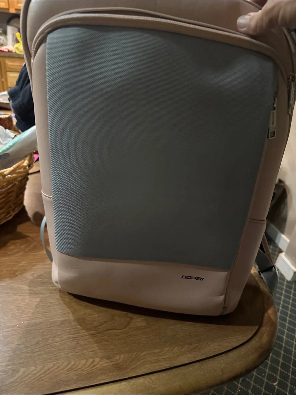 Two-Tone Pink and Gray Men's Backpack